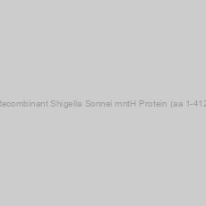 Image of Recombinant Shigella Sonnei mntH Protein (aa 1-412)